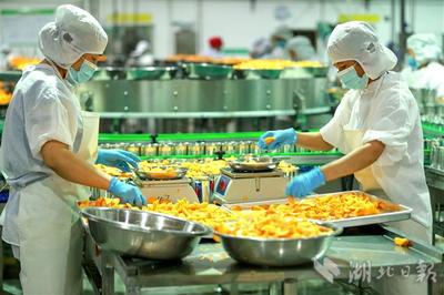 “農企對接”穩外貿促增收 食品銷售新引擎