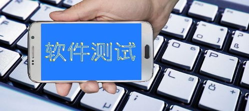 南京軟件測試與軟件開發(fā)培訓就業(yè)前景解析 機遇、選擇與建議